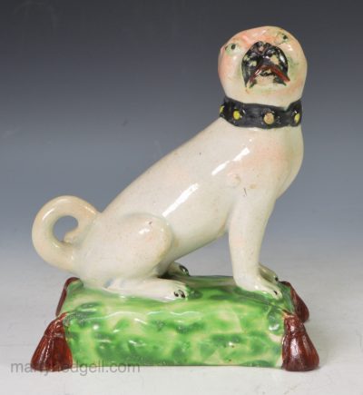 Staffordshire pearlware pug