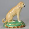 Derby porcelain pug, circa 1820