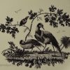 Creamware pottery plate printed with exotic birds, circa 1780, possibly Wedgwood