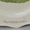 Spode pottery creamware plate decorated with a print of the America, circa 1815