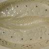Creamware pottery fish food mould, circa 1790