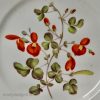 Derby porcelain botanical plate 'Scarlet Glycine' (Sweet Pea), circa 1820