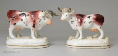 Rare pair of Staffordshire porcelain cows, circa 1840