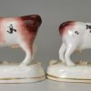 Rare pair of Staffordshire porcelain cows, circa 1840