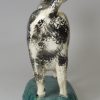 Pearlware pottery cow creamer decorated with enamels under the glaze, circa 1820, Possibly Scottish or North East