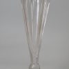 English glass champagne flute, circa 1820