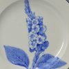 Wedgwood pearlware pottery plate decorated with a botanical print, circa 1820