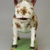 Pearlware pottery cow creamer decorated with overglaze enamels, circa 1820