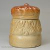 Saltglaze stoneware Scotsman head pot and cover, circa 1840, Brampton Pottery