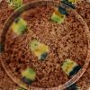 Creamware pottery plate decorated with Whieldon type colours under the glaze, circa 1770