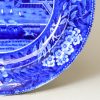 Pearlware pottery plate commemorating the 'Landing of General Lafayette in New York 1824' Clews Pottery