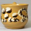 Small yellow bodied cup decorated with mocha slip, circa 1840