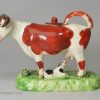 Staffordshire pottery cow creamer decorated with over glaze enamels, circa 1820