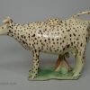 Creamware pottery cow creamer decorated with colours under the glaze, circa 1810