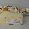 Creamware pottery cow creamer decorated with colours under the glaze, circa 1810