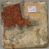 Portuguese tin glaze tile, circa 1760
