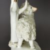 Pair of Staffordshire porcelain sheep, circa 1840